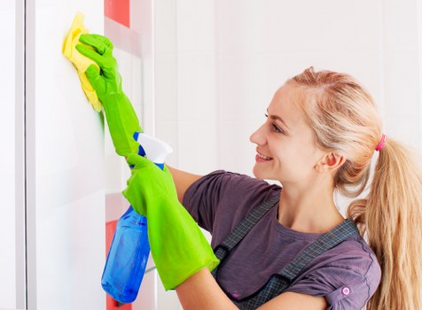 Pet stain odour removal in Nunhead for carpeted home interiors