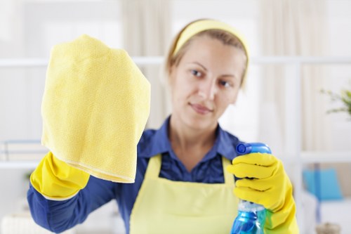 Final review in a carpet cleaning complaints process
