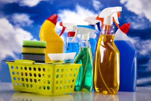 Professional carpet cleaning in Nunhead restoring a living room floor
