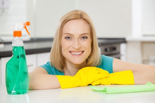 Nunhead carpet cleaners using safe methods in a home setting