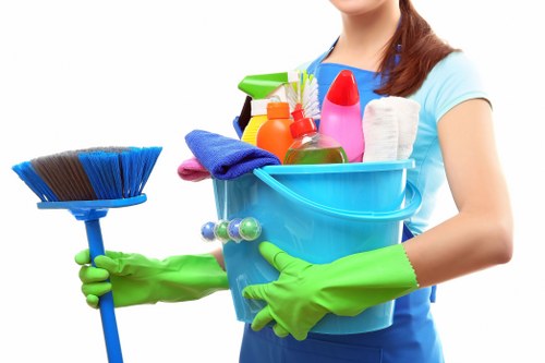 Professional upholstery cleaning in a Nunhead living room