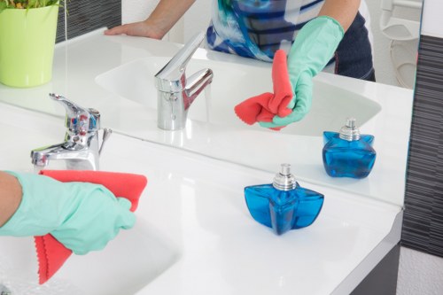 Odour neutralisation treatment for pet stains in Nunhead