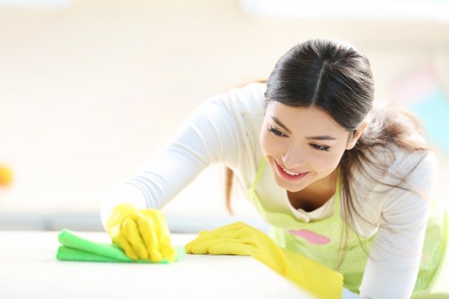Specialist cleaning treatment on a sofa in Nunhead