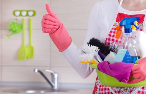 Professional pet stain cleaning equipment for Nunhead homes