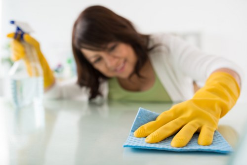 Quick first response for spill and stain removal