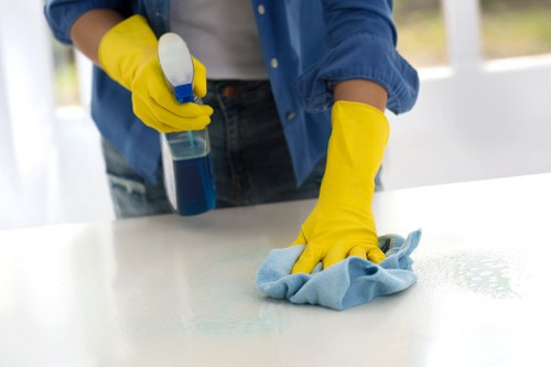 Experienced carpet cleaning professionals using modern equipment
