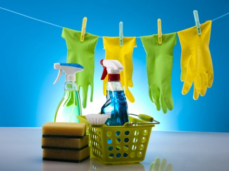 Service terms and conditions document for carpet cleaning