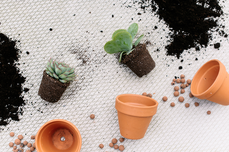 eco-friendly Clean